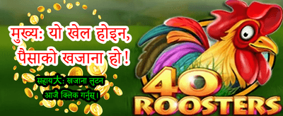 सर्वश्रेष्ठ लाइभ खेल अनुभव